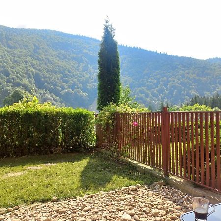 Belleview Garden Studio Lejlighed Sinaia Eksteriør billede