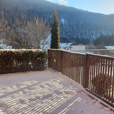 Belleview Garden Studio Lejlighed Sinaia Eksteriør billede