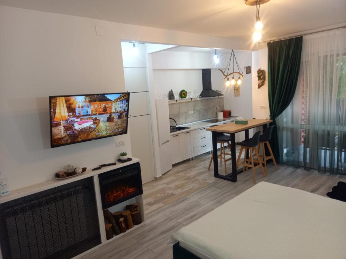 Belleview Garden Studio Lejlighed Sinaia Eksteriør billede