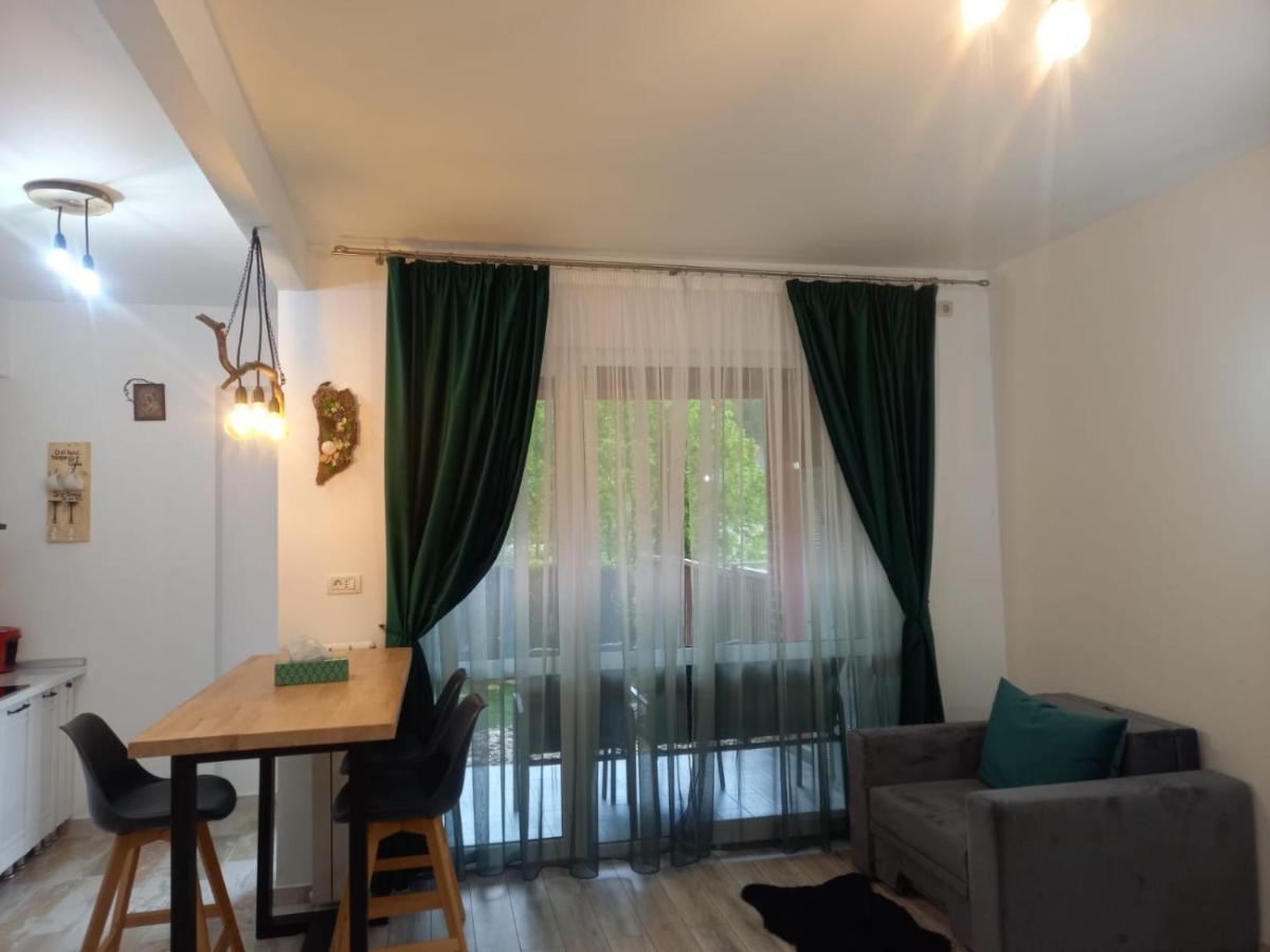 Belleview Garden Studio Lejlighed Sinaia Eksteriør billede