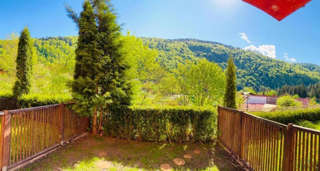 Belleview Garden Studio Lejlighed Sinaia Eksteriør billede