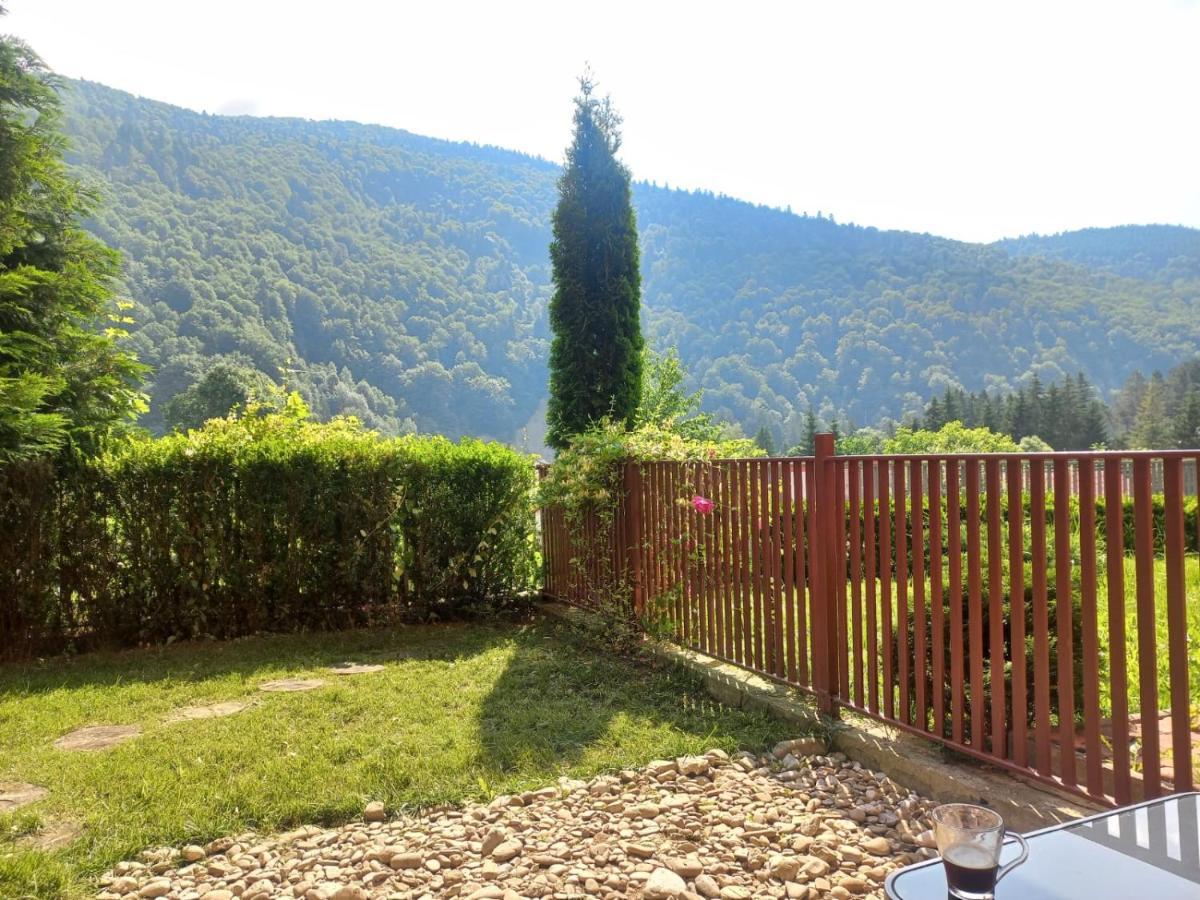 Belleview Garden Studio Lejlighed Sinaia Eksteriør billede