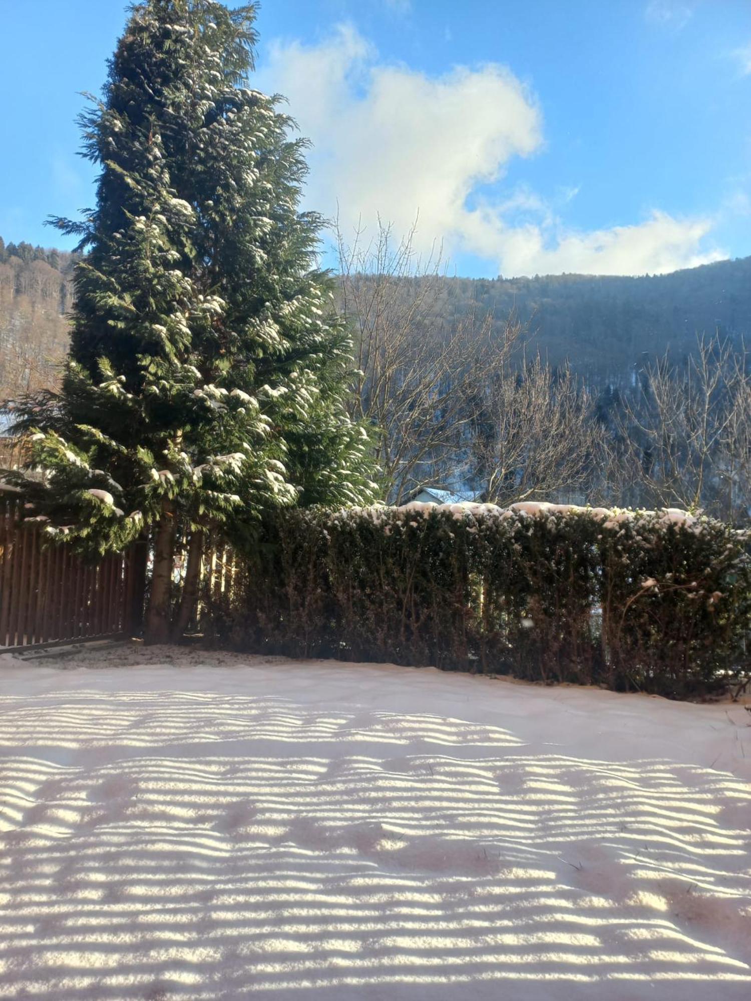 Belleview Garden Studio Lejlighed Sinaia Eksteriør billede