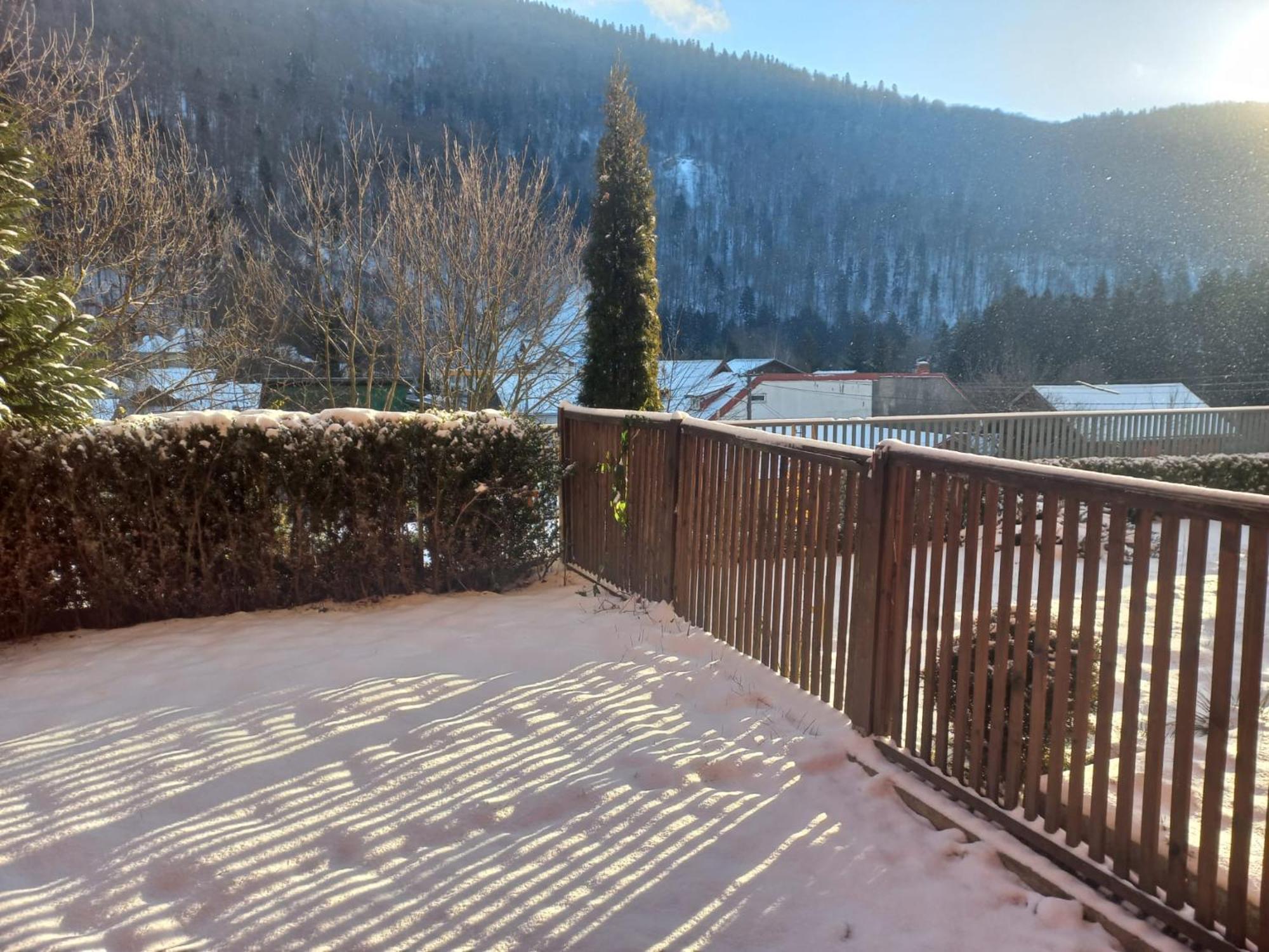 Belleview Garden Studio Lejlighed Sinaia Eksteriør billede